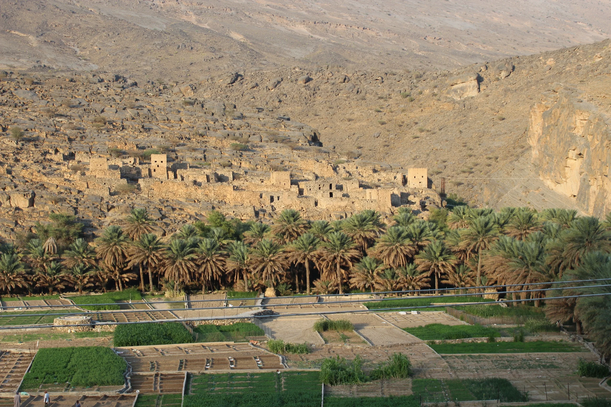 Nizwa – Jebal Akdhar Tour 3 scaled | Ahlan Arabia Tours