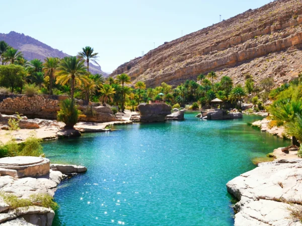 Wahiba Sands & Wadi Bani Khalid Tour