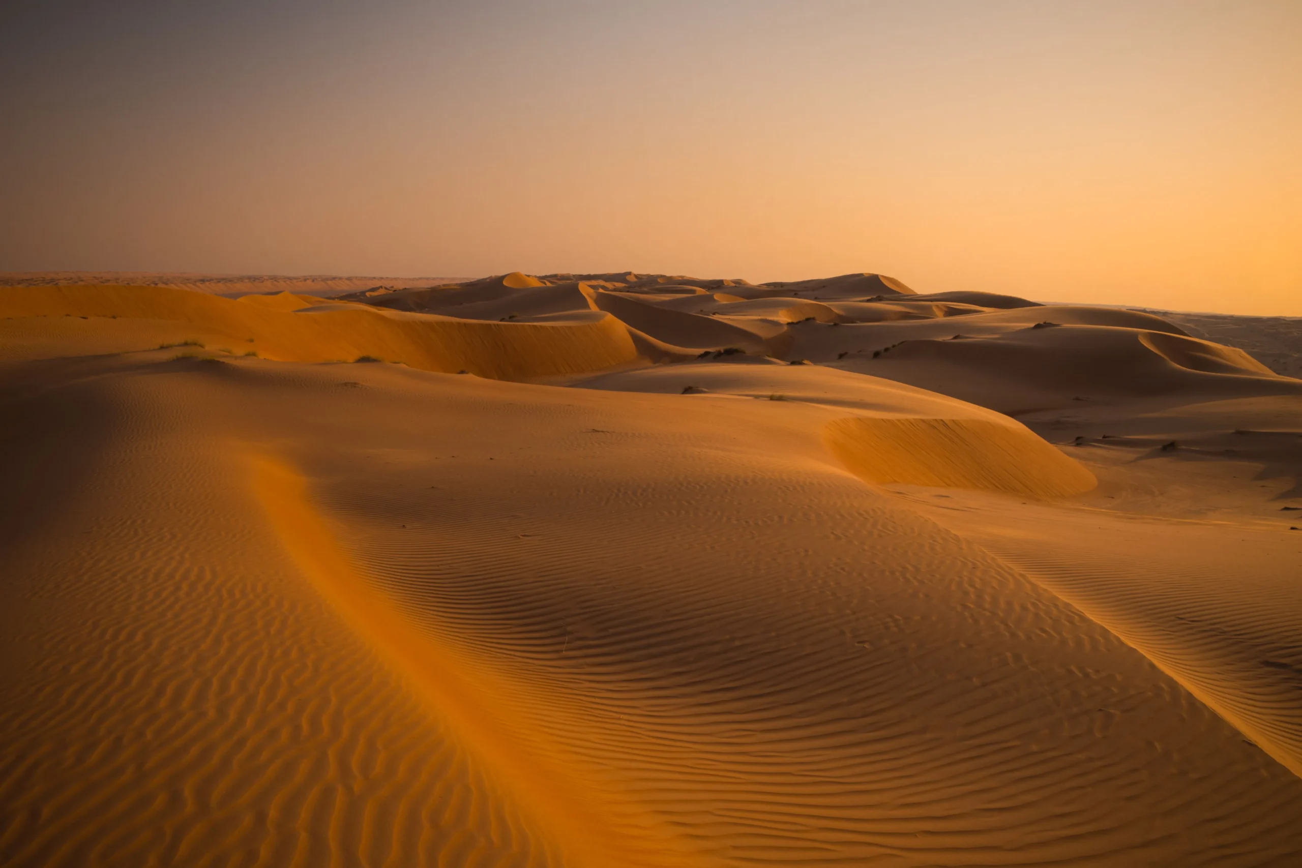 Wahiba Sands Wadi Bani Khalid Tour 3 scaled | Ahlan Arabia Tours