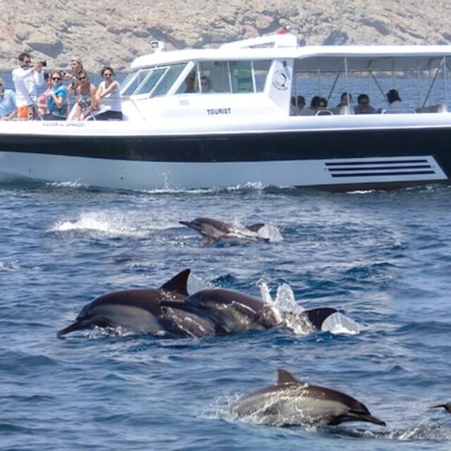 Dolphin Watching and Snorkeling Trip