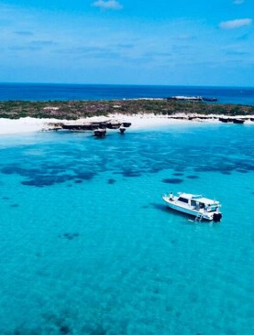 Dimaniyat Island Natural Reserve