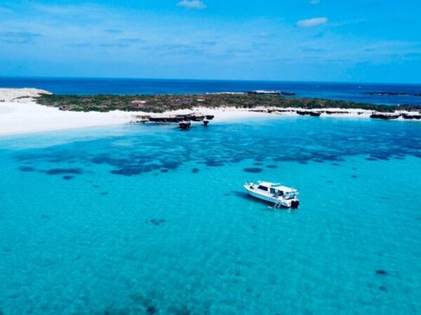 Dimaniyat Island Natural Reserve
