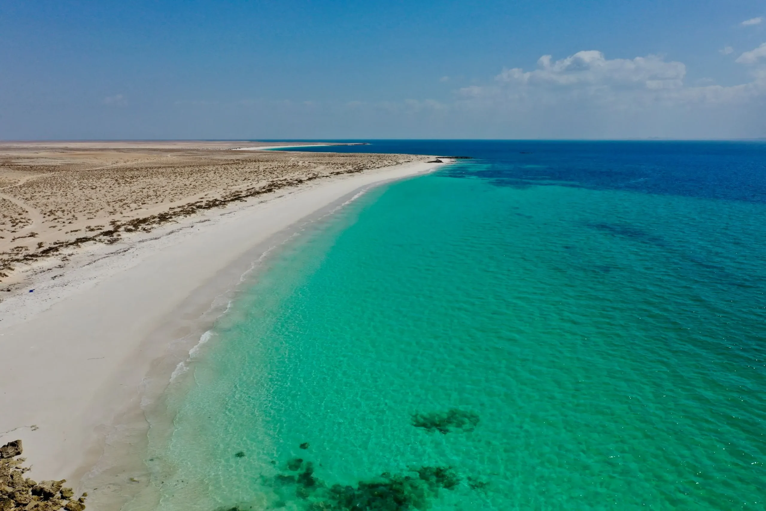 Dimaniyat Island Natural Reserve 33 1 scaled | Ahlan Arabia Tours