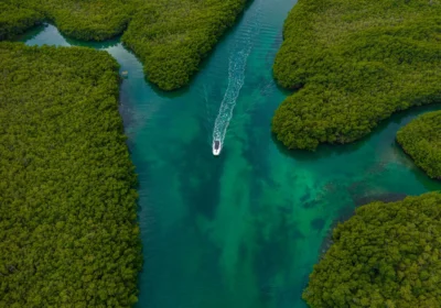 Dimaniyat Island Natural Reserve