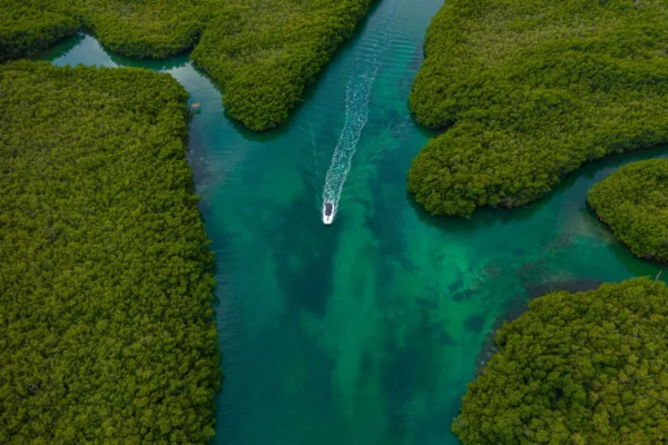Dimaniyat Island Natural Reserve