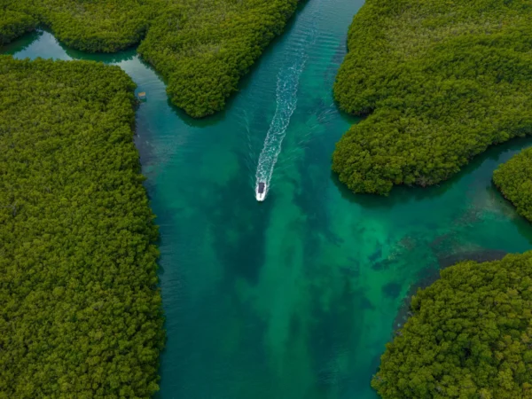 Dimaniyat Island Natural Reserve