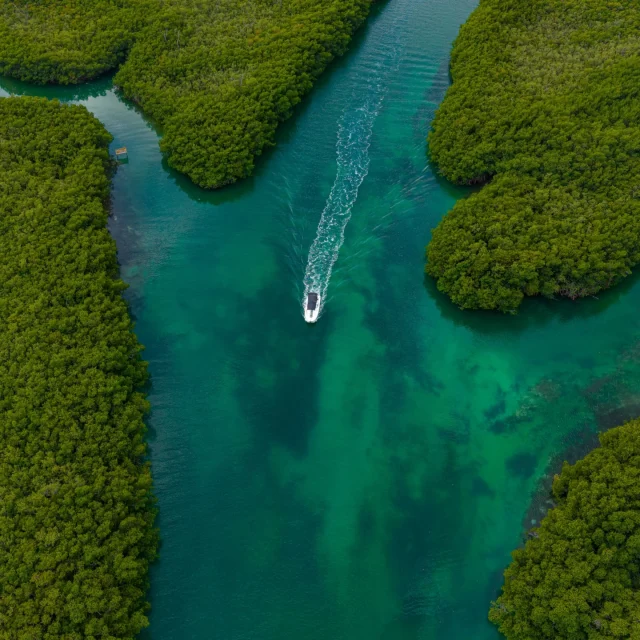 Dimaniyat Island Natural Reserve