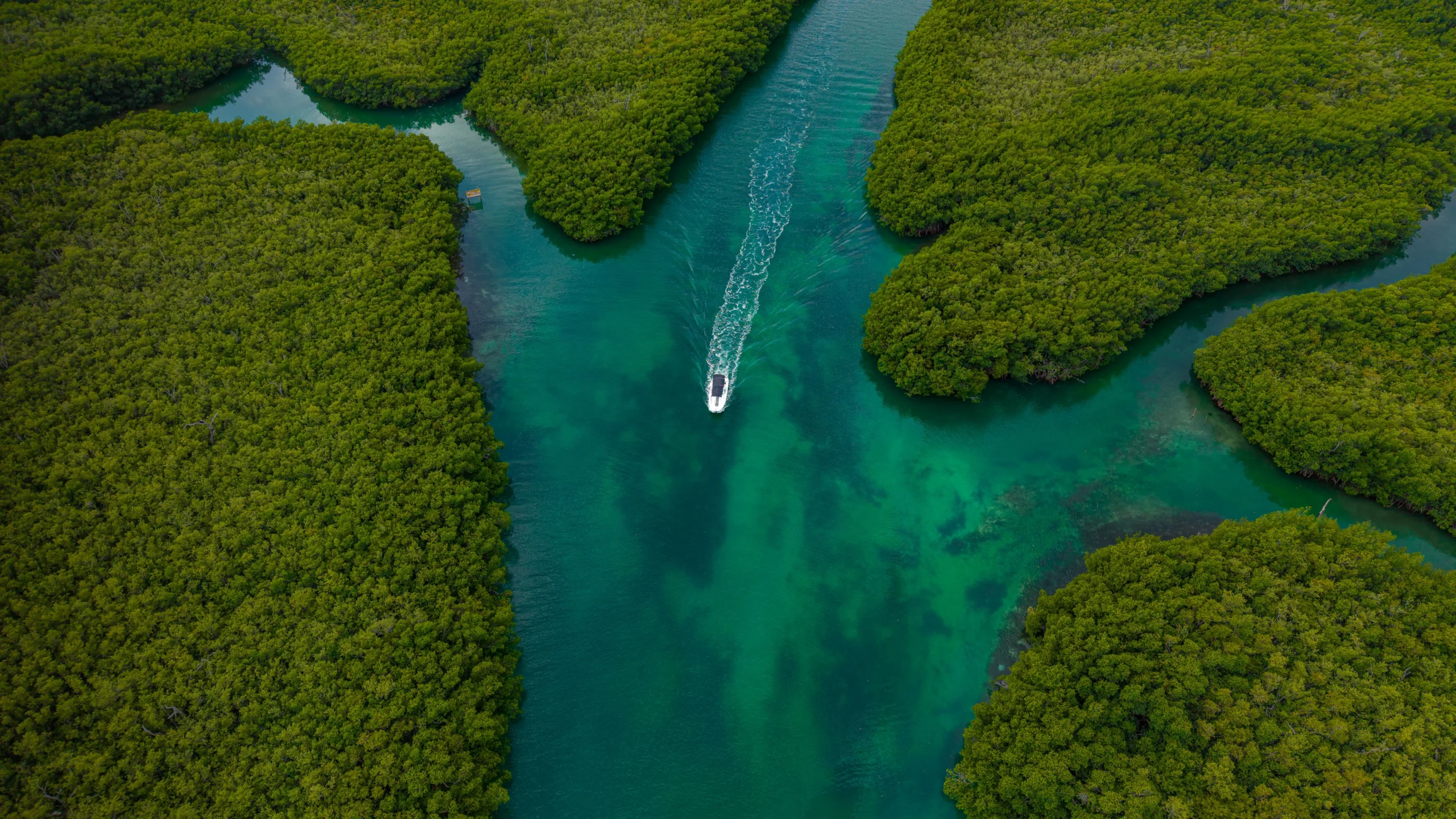 Dimaniyat Island Natural Reserve 55 scaled | Ahlan Arabia Tours