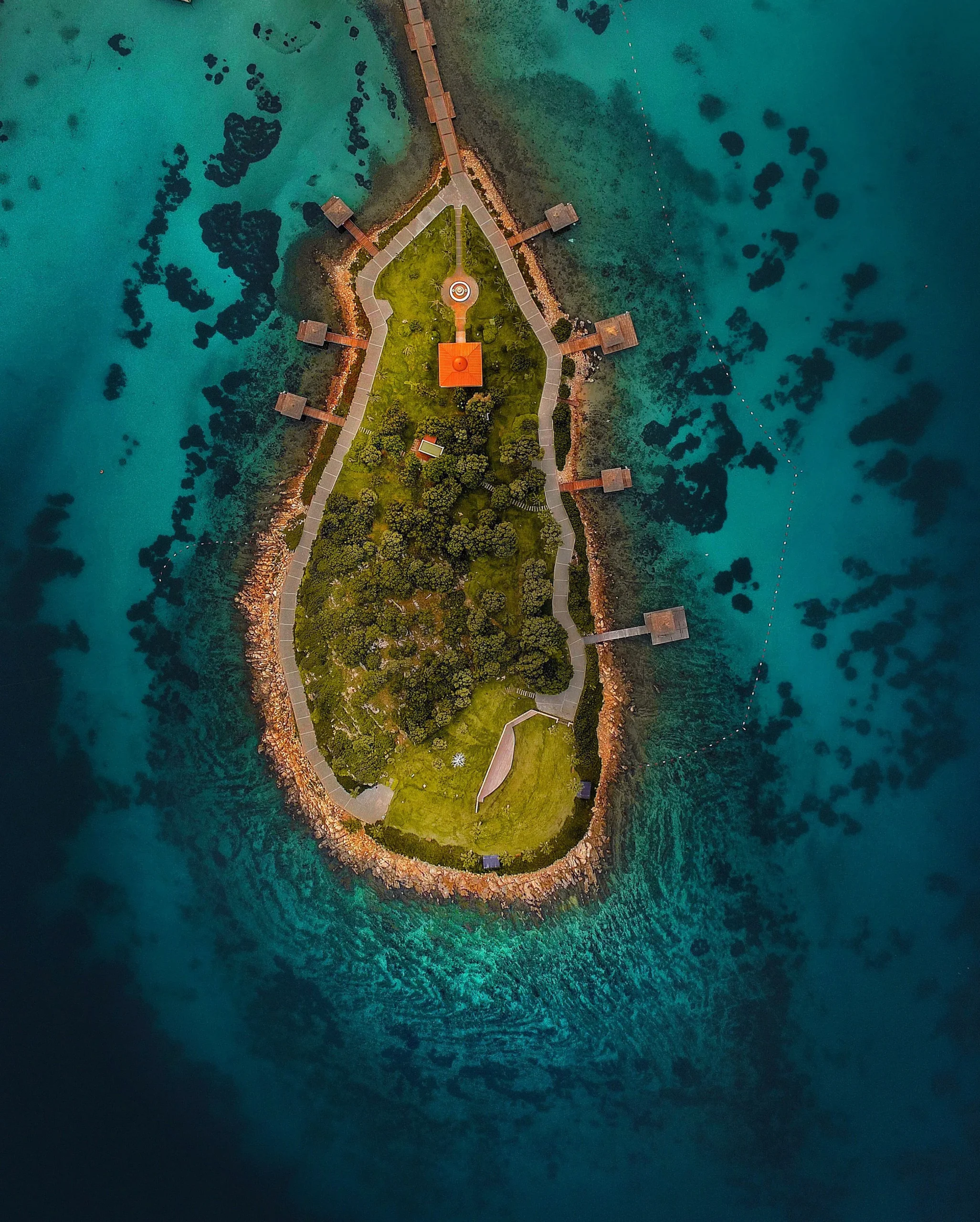Dimaniyat Island Natural Reserve 66 scaled | Ahlan Arabia Tours