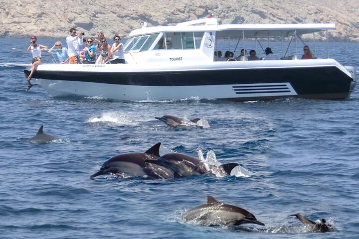 dolphin watching 111 | Ahlan Arabia Tours