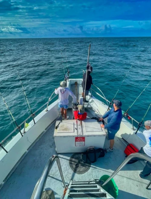 Game Fishing