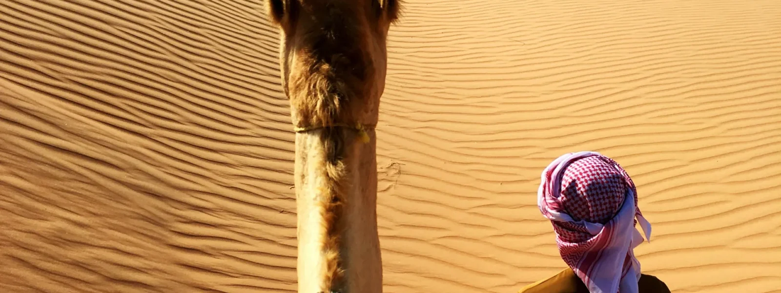 Wahiba Sands
