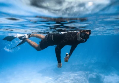 Ahlan Arabia Super Special Trip | Dolphin Watching & Snorkeling
