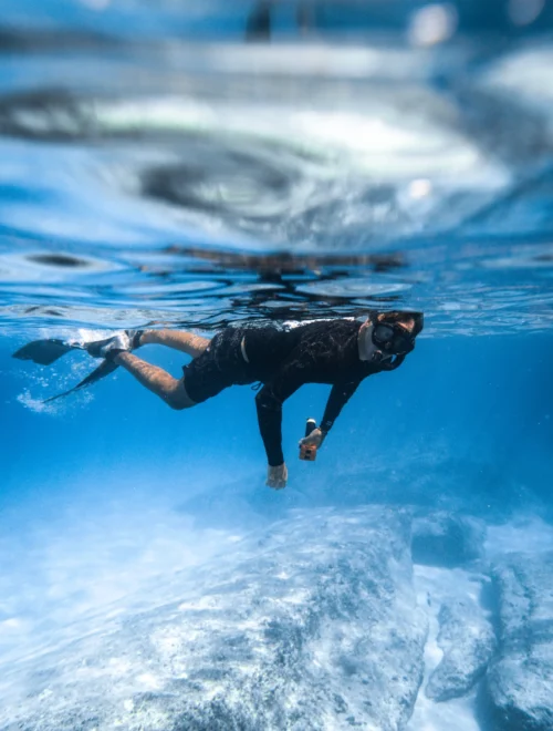 Ahlan Arabia Super Special Trip | Dolphin Watching & Snorkeling