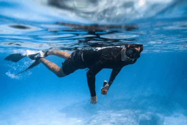 Ahlan Arabia Super Special Trip | Dolphin Watching & Snorkeling