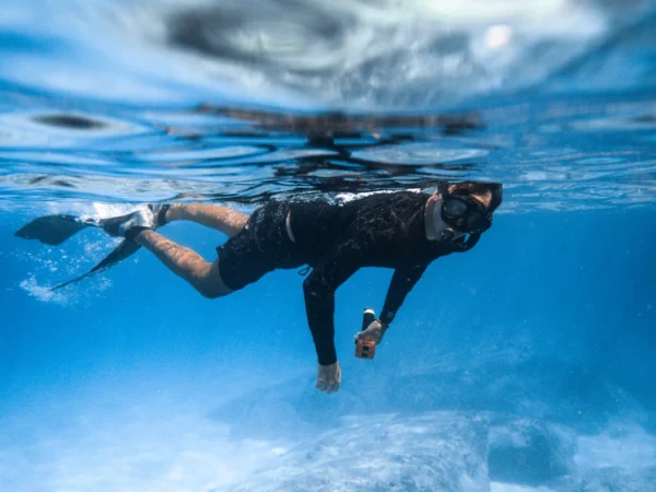 Ahlan Arabia Super Special Trip | Dolphin Watching & Snorkeling