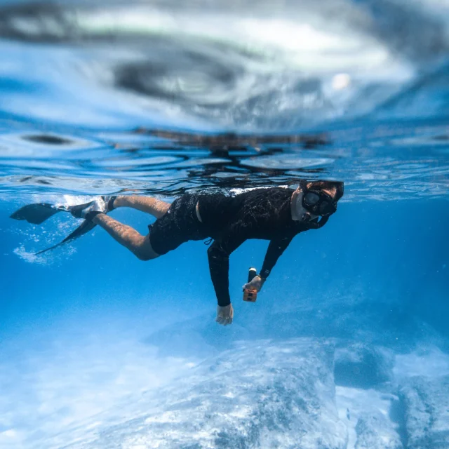Ahlan Arabia Super Special Trip | Dolphin Watching & Snorkeling