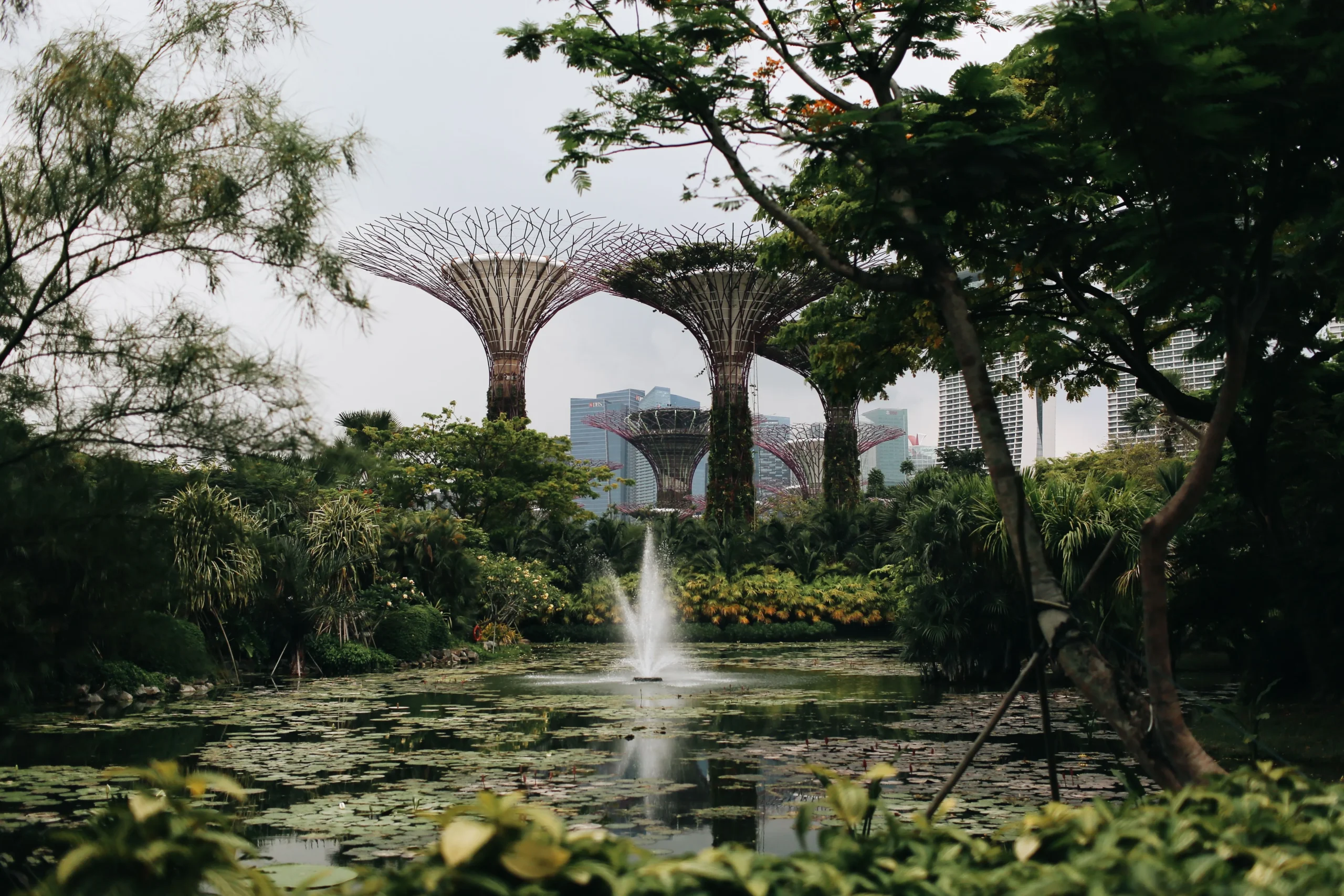 gardens by the bay scaled | Ahlan Arabia Tours