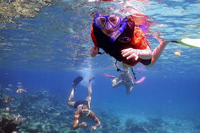 snorkeling 111 | Ahlan Arabia Tours