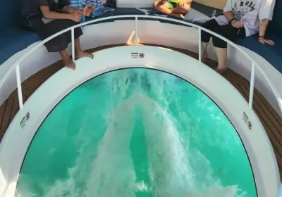 Glass Bottom Boat Trip to Dimaniyat Islands from Muscat