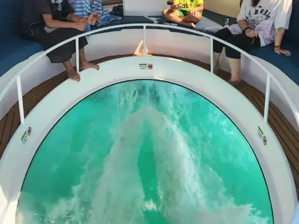 Glass Bottom Boat Trip to Dimaniyat Islands from Muscat