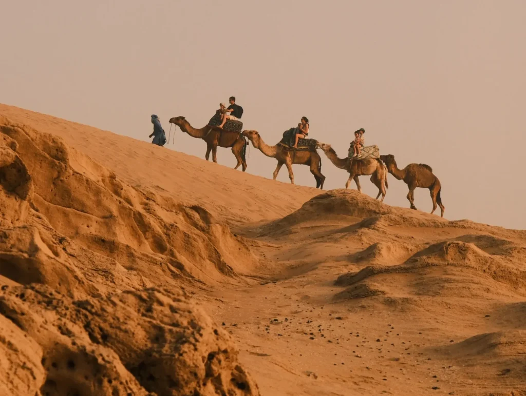 wahida sands