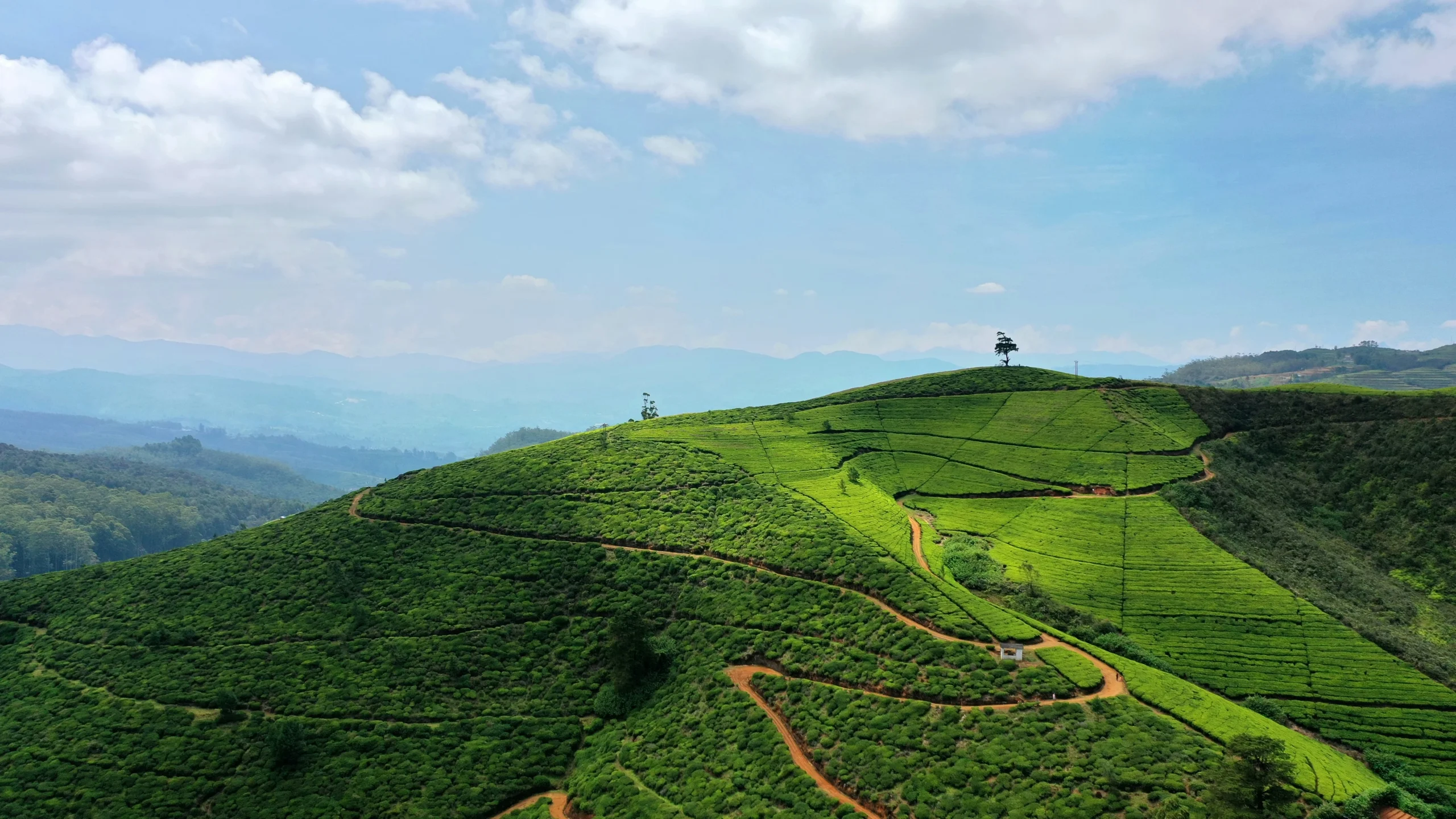 nuwara eliya scaled | Ahlan Arabia Tours